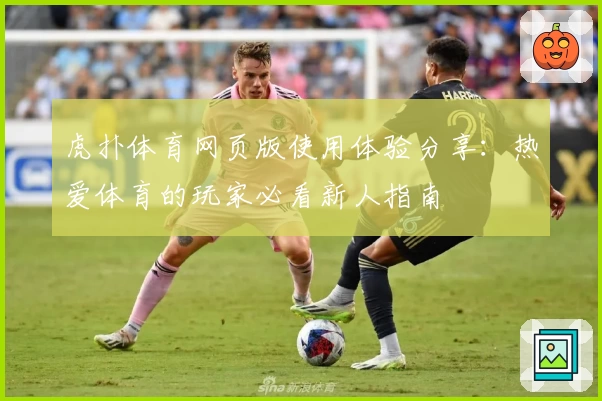 虎扑体育网页版使用体验分享：热爱体育的玩家必看新人指南