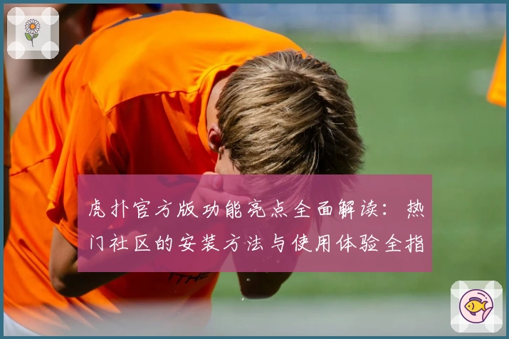 虎扑官方版功能亮点全面解读：热门社区的安装方法与使用体验全指南