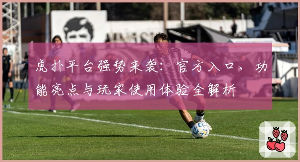 虎扑平台强势来袭：官方入口、功能亮点与玩家使用体验全解析